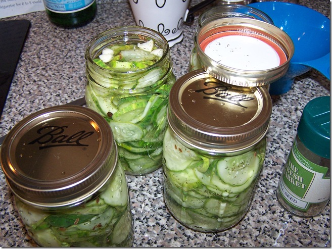 Pickles 056