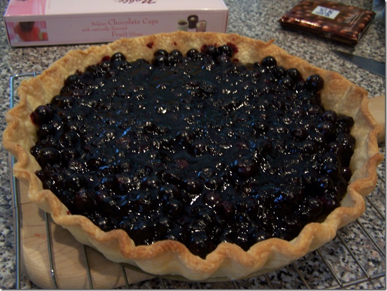 Blueberry Tart 020