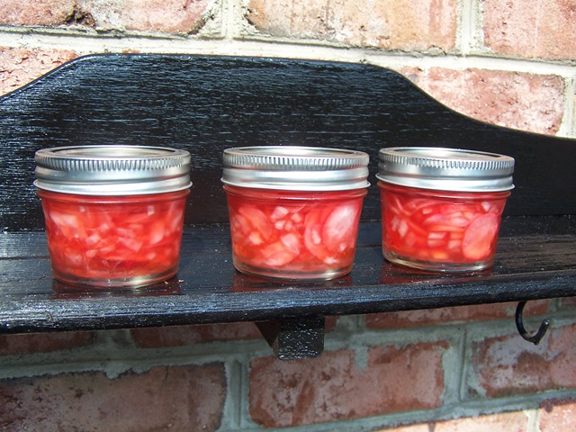 [PickledRadishes0275.jpg]