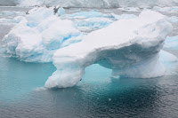 2603_Lemaire Channel - icebergs.JPG
