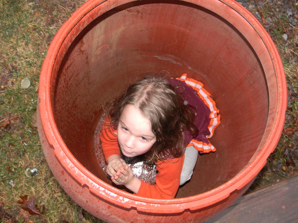 [DSCN15144.jpg]
