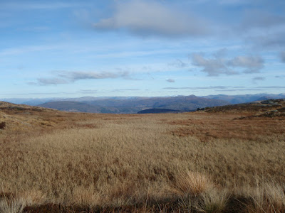A boggy area on top the mountain
