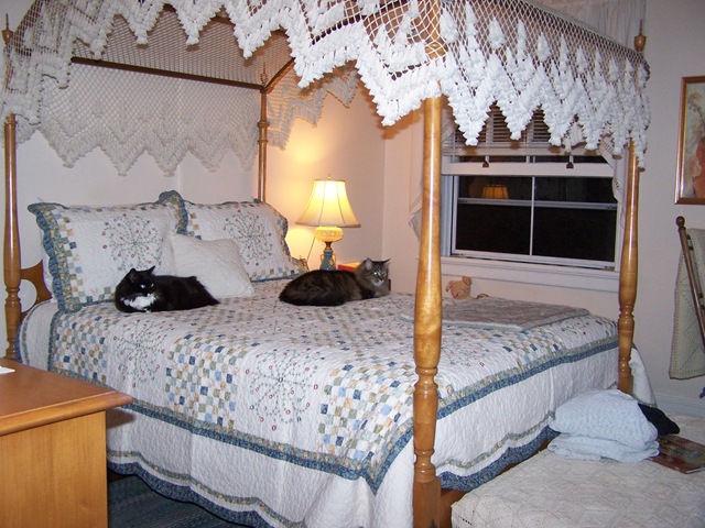 [newquilt1 103010[4].jpg]