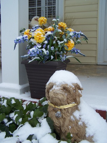 [doginsnowfrntporch121610[2].jpg]