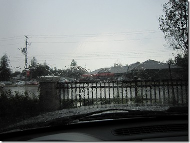 IMG_3271 IMG_3271