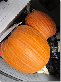 IMG_3910 IMG_3910
