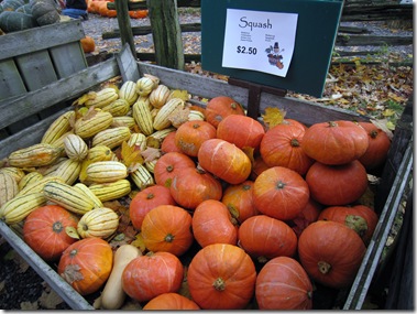 IMG_3908 IMG_3908