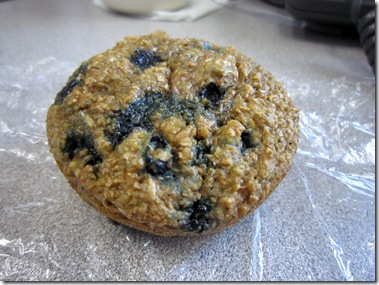 IMG_4825 IMG_4825