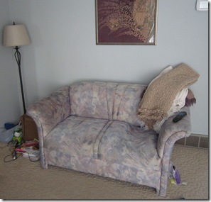 IMG_5333 IMG_5333