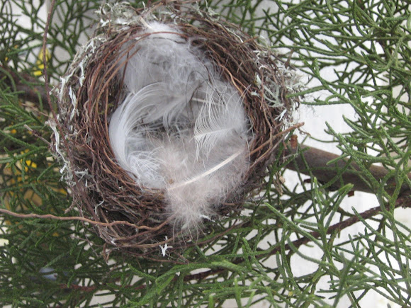 Spotting Image 1