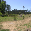 P7147104.JPG