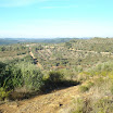 DSC00821.JPG