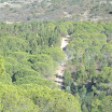DSC00772.JPG