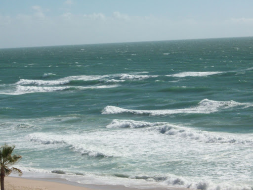 Waves Waves