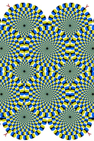 [whoa[6].jpg]