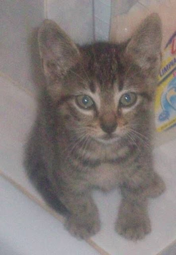 Micky