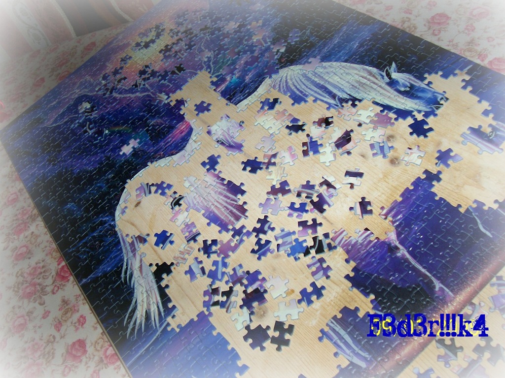 [Puzzle01[4].jpg]