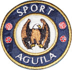 Escudo del aguila