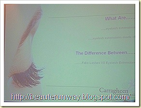 carragheen lash extension