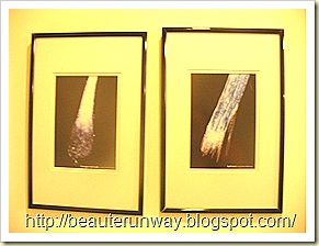 P1120849 P1120849