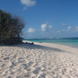 bowers 2009 055.JPG