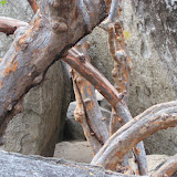 Bob-Joyce 037.JPG