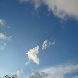 Its a Bird Its a Plane its A its A Big Bird