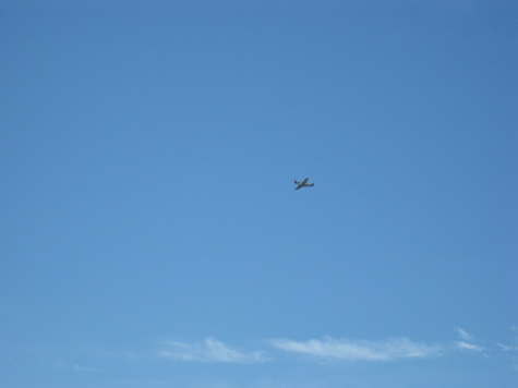 Mustang over Wellington
