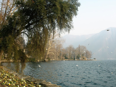 Lugano's Lake - 365 photo paths