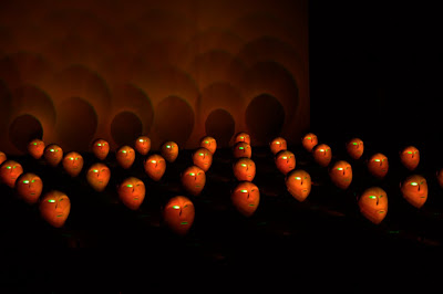 Bwindi Light Masks - 365 photo paths