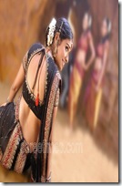 Asin-Saree-Blouse-Design-For-Back