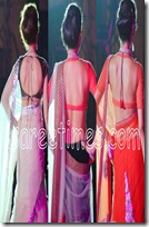 Saree-Blouse-Designs-2010