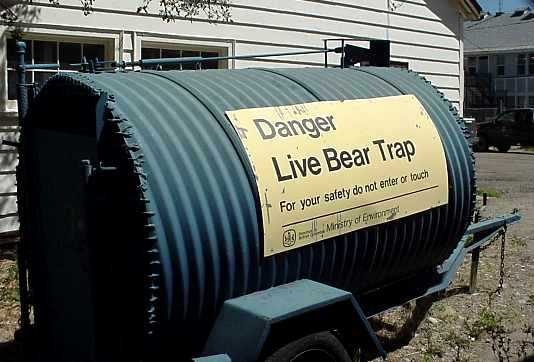 [BearTrap3.jpg]