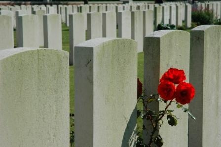 [Roses in cemetery[8].jpg]