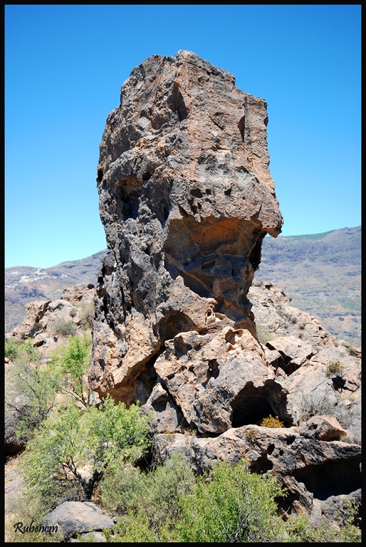 [DSC_4152[4].jpg]