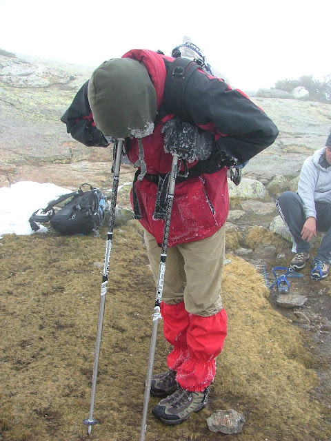 Los estragos del frio