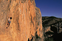 esal06.jpg