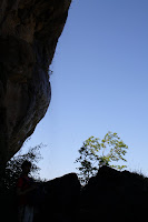 IMG_5399.jpg
