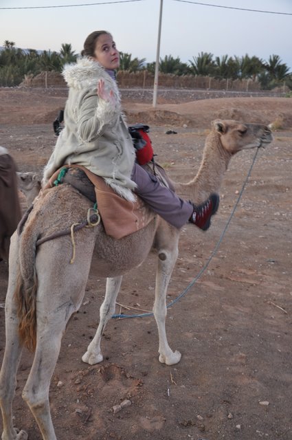 En camello por el desierto, Zagora