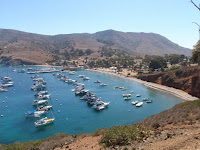 P9254767.JPG (Two Harbors, California, United States) Photo