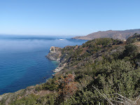 P9254782.JPG