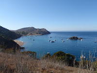 P9254791.JPG