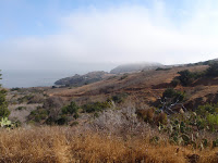 P9264811.JPG