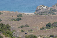 DSC02130.JPG