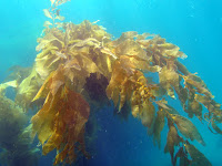 P9264843.JPG