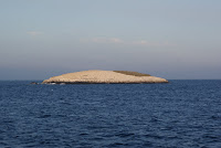 DSC02154.JPG