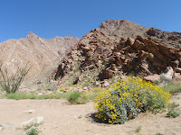 P3202038.JPG (Desert Sands Mobile Home Park, California, United States) Photo