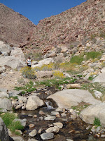 P3202055.JPG