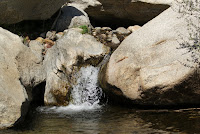 DSC01085.JPG (Desert Sands Mobile Home Park, California, United States) Photo
