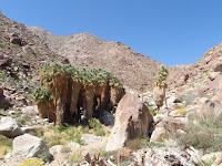 P3202078.JPG (Desert Sands Mobile Home Park, California, United States) Photo